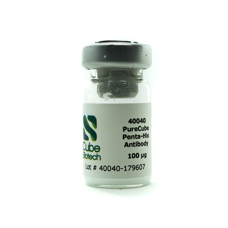 PentaHis antibody, BSA-free (0.1 mg)