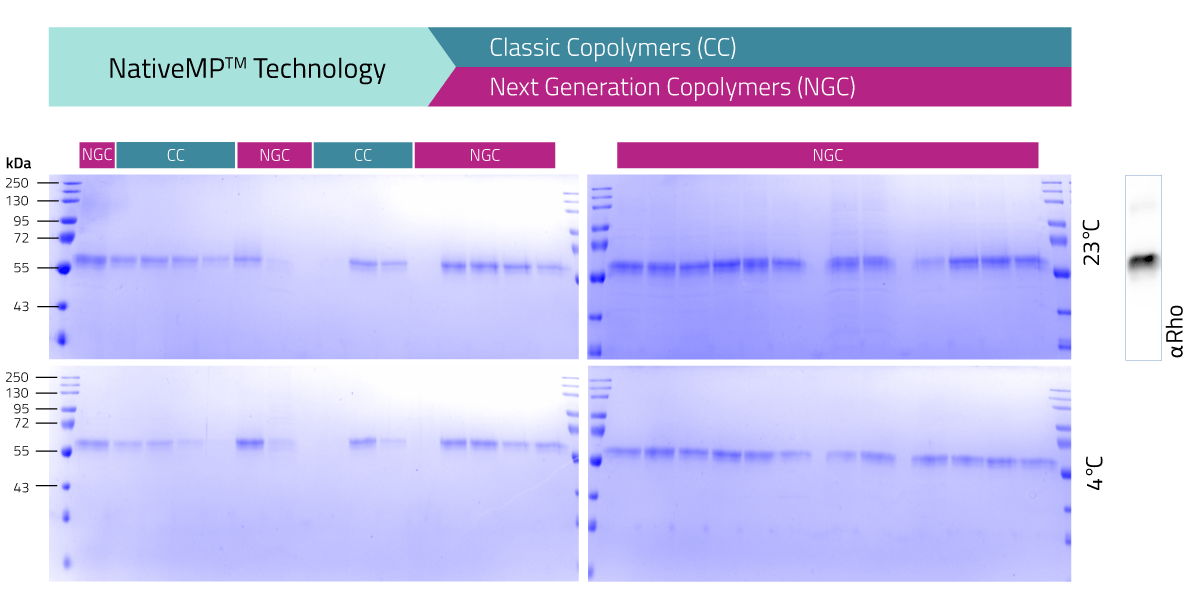 Screening example