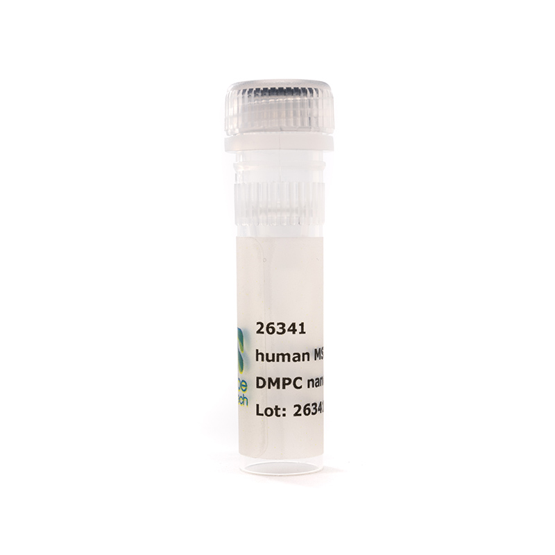Nanodisc MSP1D1 dH5 DMPC (50 µL)