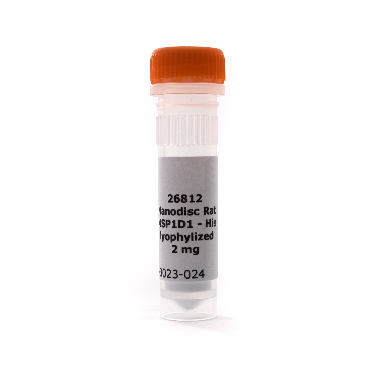 rat MSP1D1-His, lyophilized protein