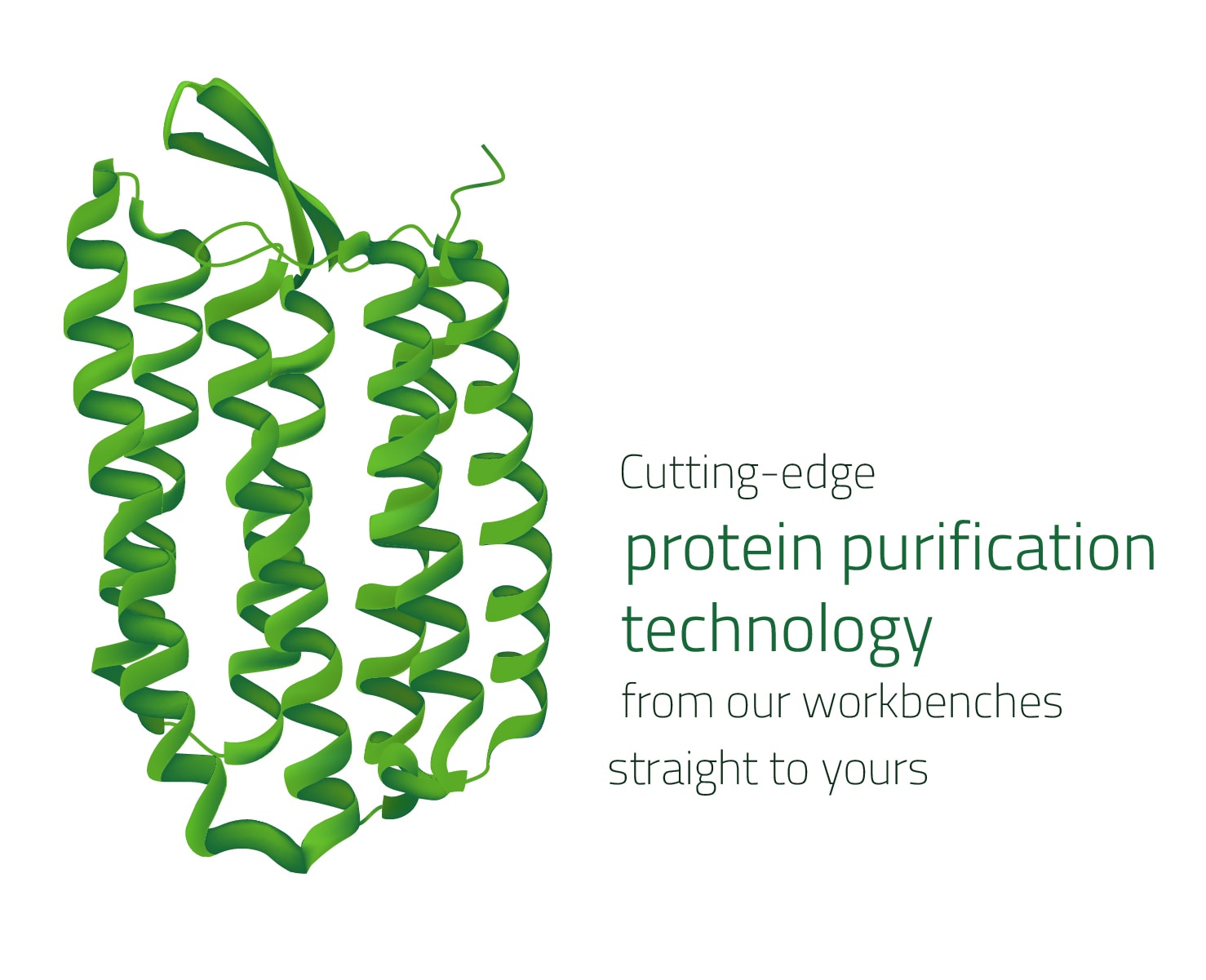 Proteins are our passion.