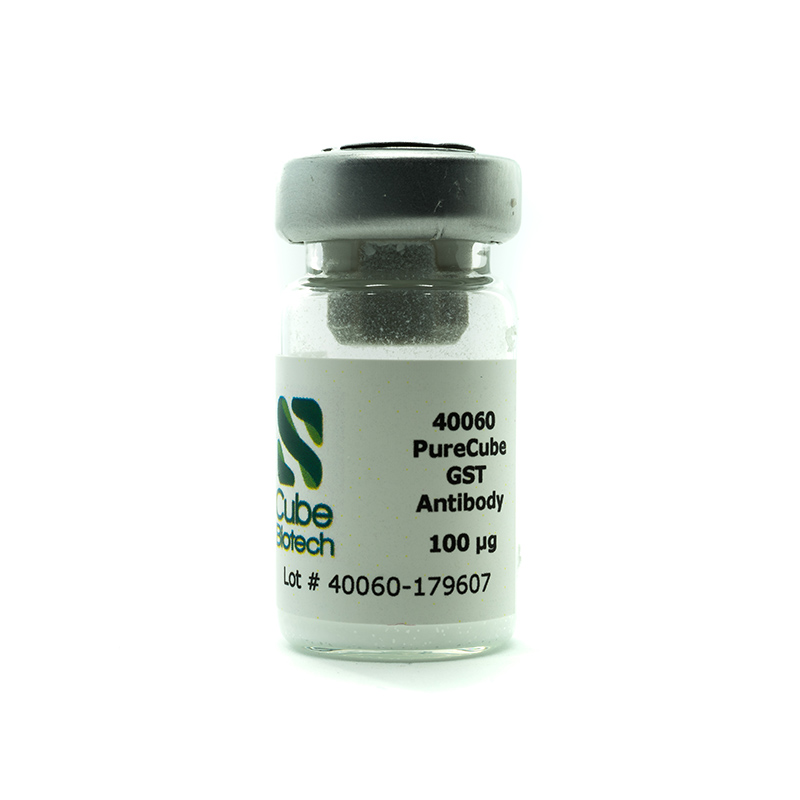 GST antibody (0.1 mg)