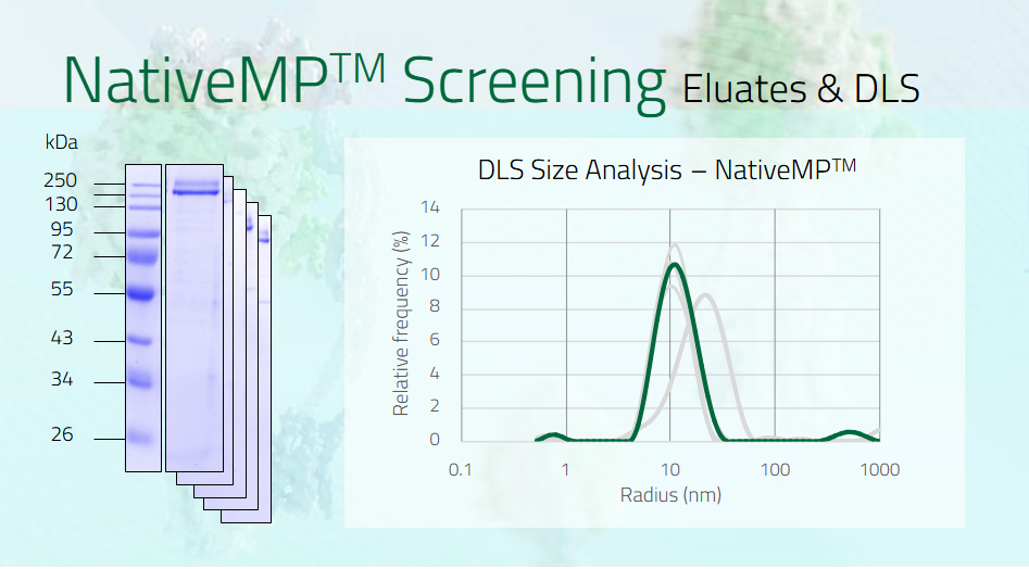 NativeMP™ Targets / co-polymer stabilized membrane proteins