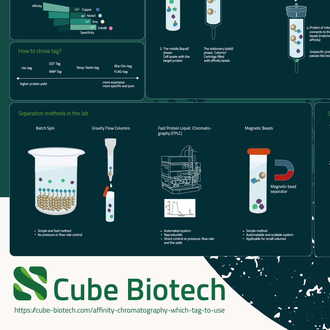 Poster An overview to affinity chromatography