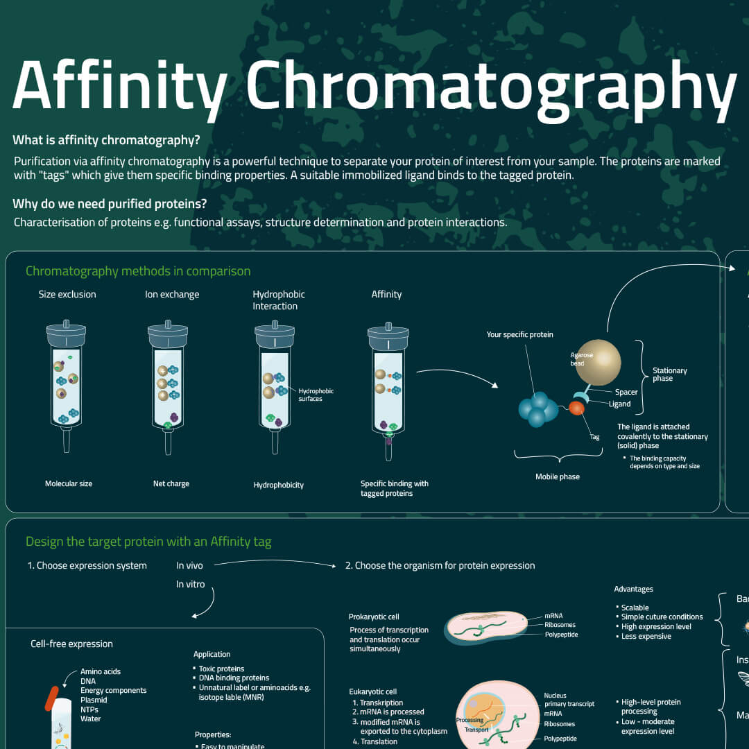 Poster An overview to affinity chromatography
