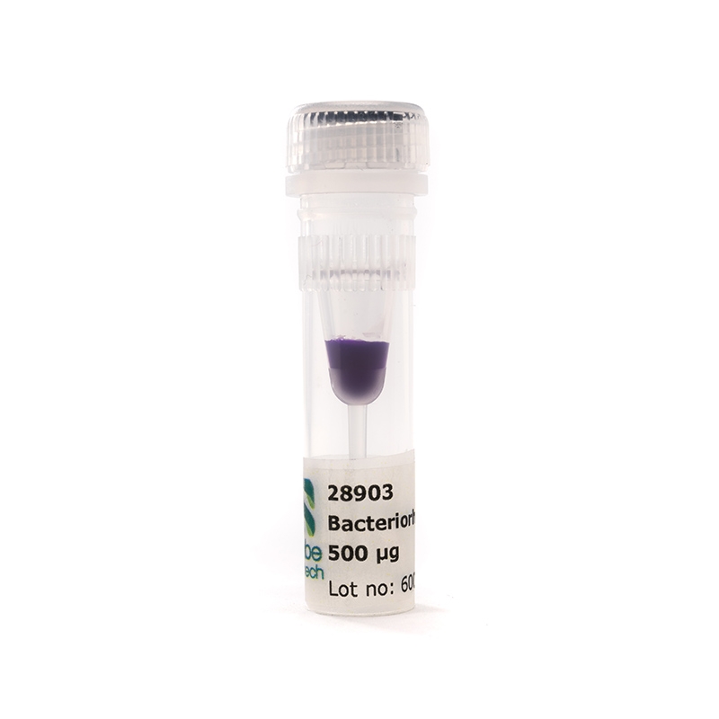 NativeMP™ Targets / co-polymer stabilized membrane proteins